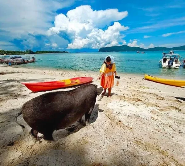 Koh Tan and Koh Mudsum Yachting Trip