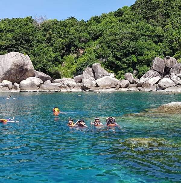 Koh Tao and Nang Yuan Speedboat Tour (Samui)