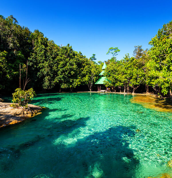 Emerald Pool, Natural Hot Spring, Tiger Cave Temple One Day Trip