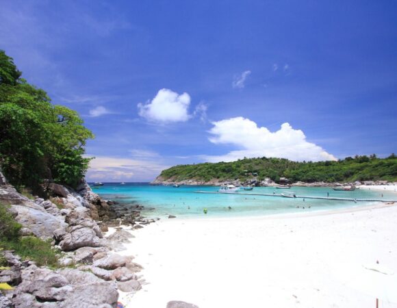 Coral Island and Racha Island One Day Trip by Speedboat