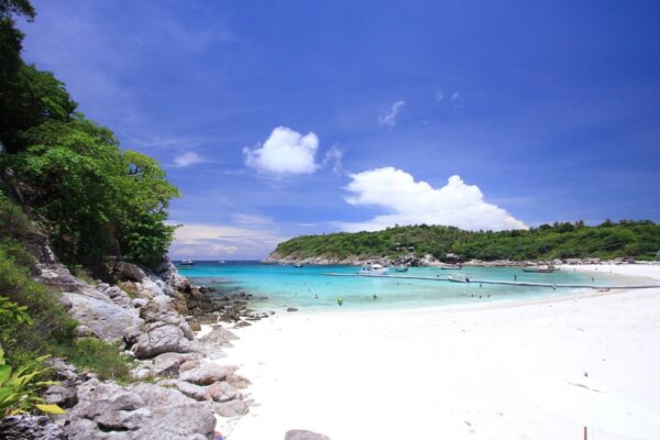 Coral Island and Racha Island One Day Trip by Speedboat