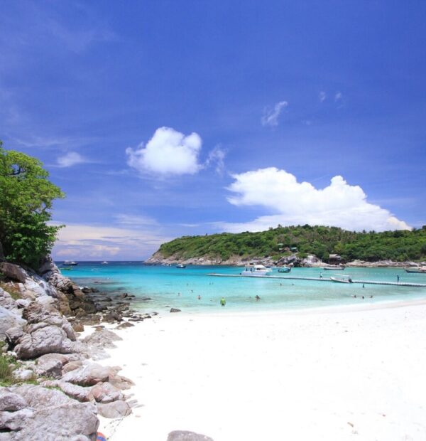 Coral Island and Racha Island One Day Trip by Speedboat