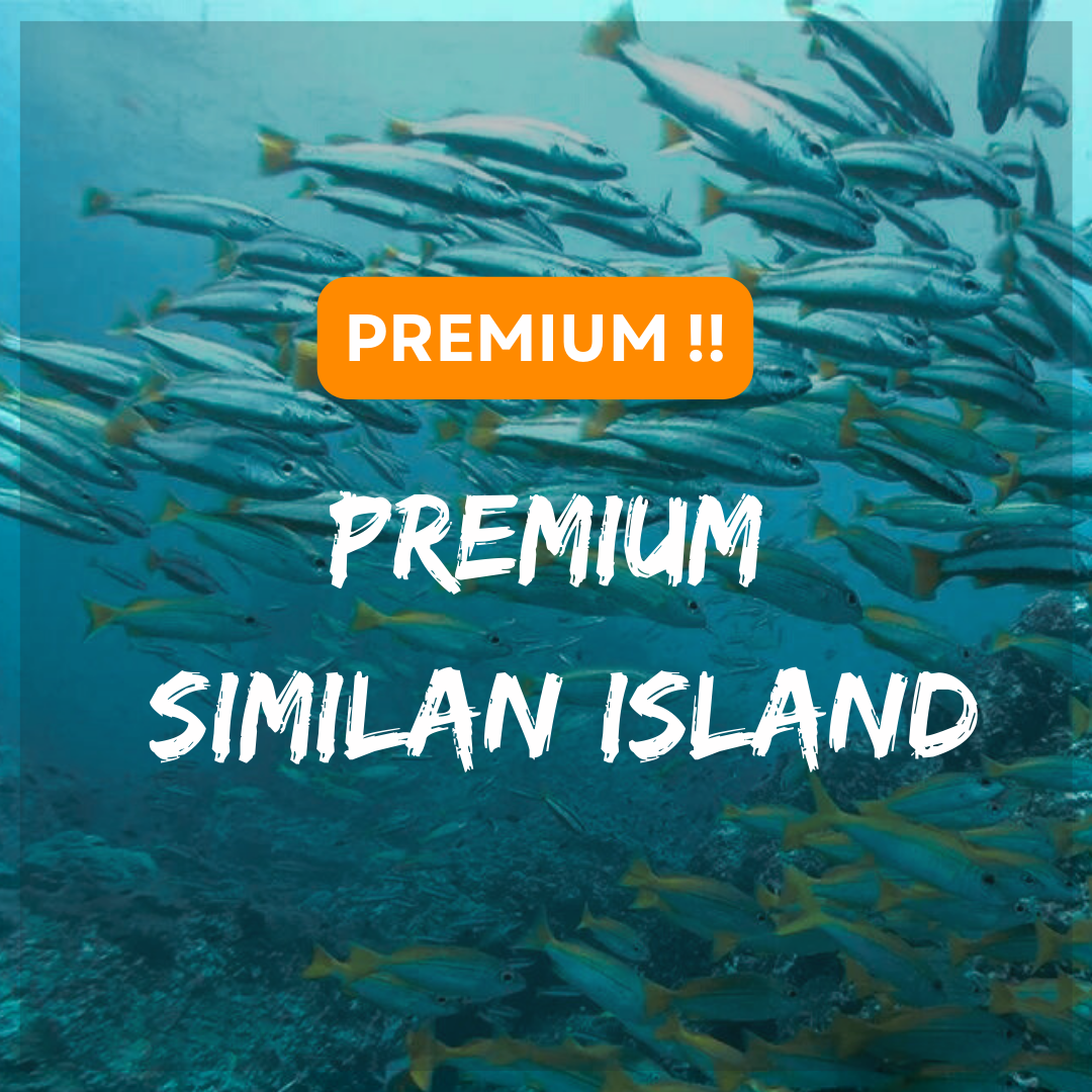 Premium - Similan Island (One-Day Trip)