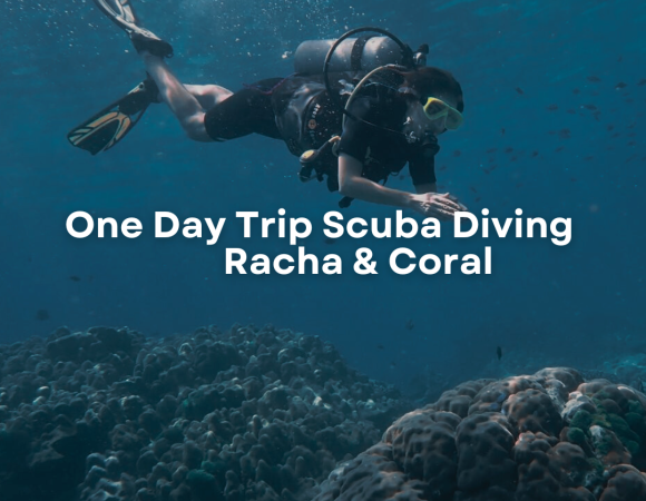 One Day Trip Scuba Diving Racha & Coral