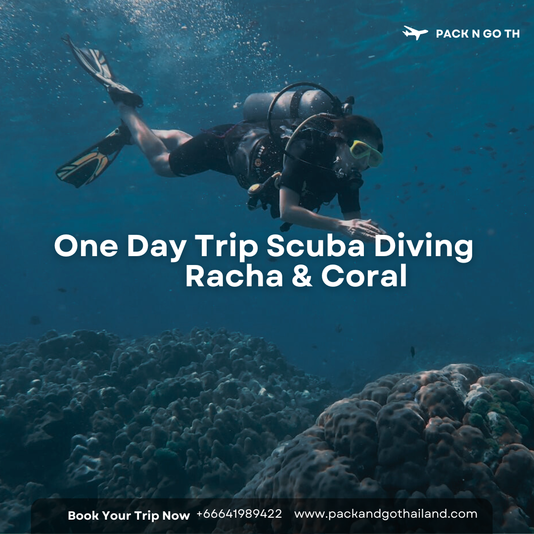 One Day Trip Scuba Diving Racha & Coral