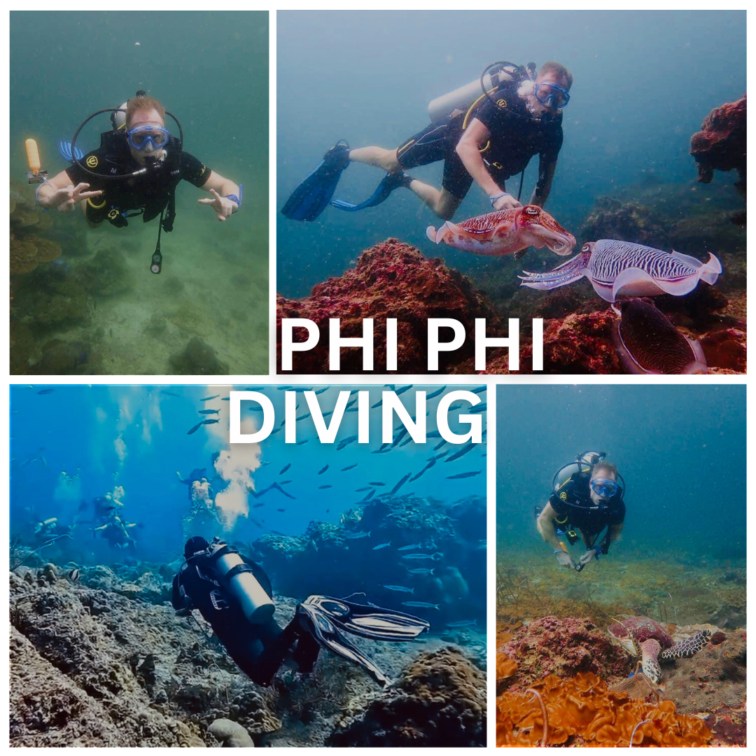 Phi-Phi Diving Trip