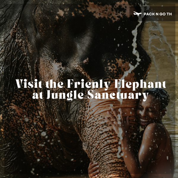 Visit the Frienly Elephant at Jungle Sanctuary